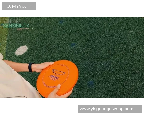 飞盘深度:解密武汉飞盘队的转换